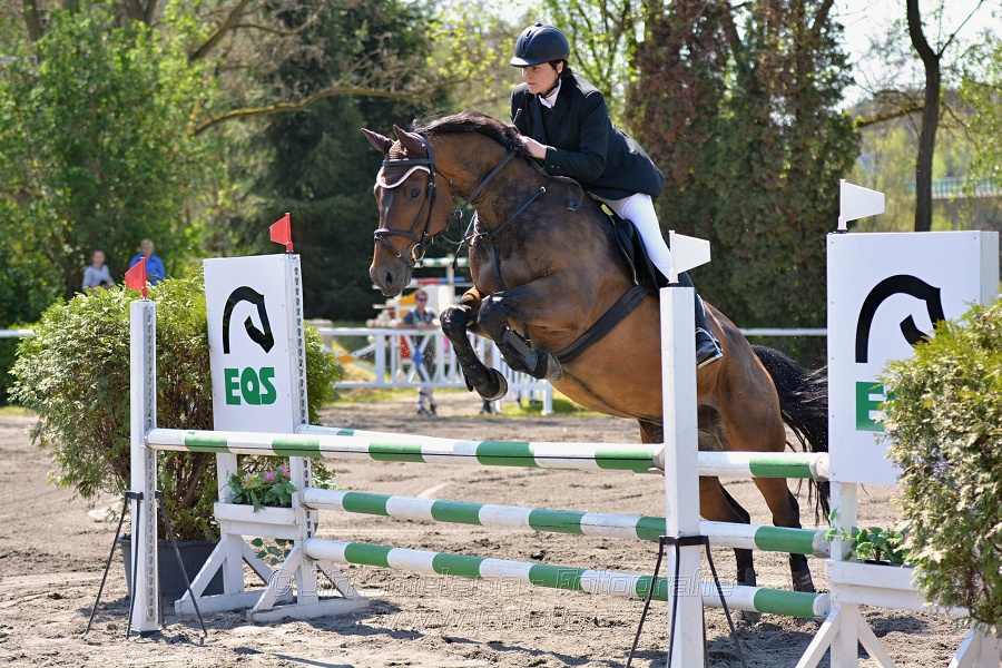 Skoková soutěž stupně 