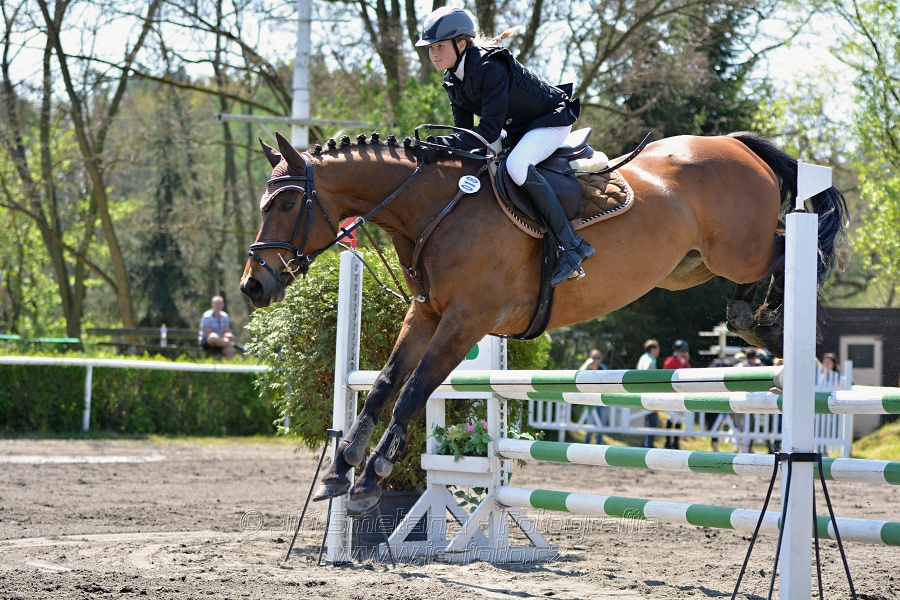 Skoková soutěž stupně 