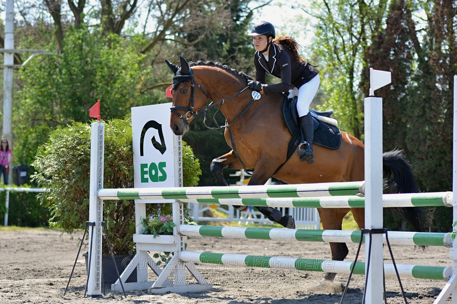 Skoková soutěž stupně 