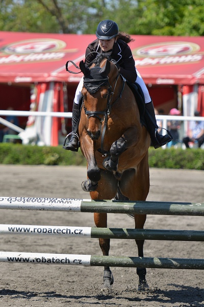 Skoková soutěž stupně 