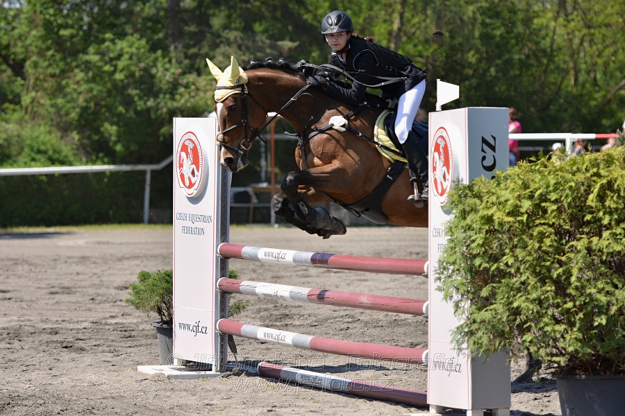 Skoková soutěž stupně 