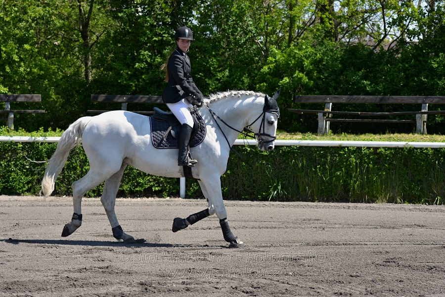 Skoková soutěž stupně 