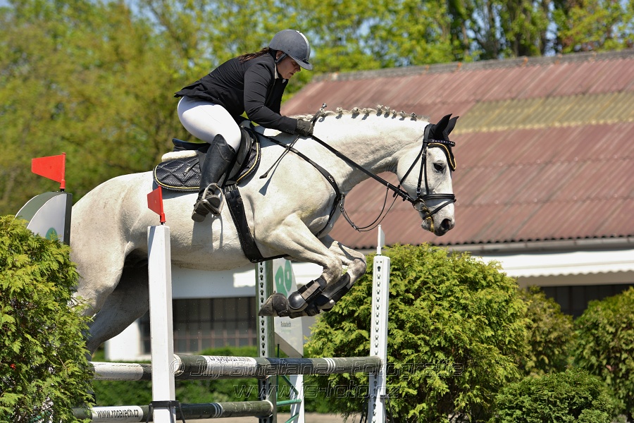 Skoková soutěž stupně 