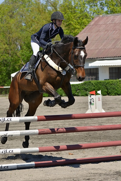 Skoková soutěž stupně 
