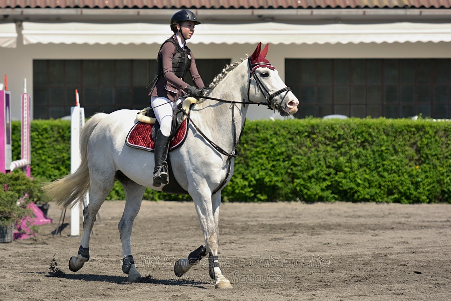 Skoková soutěž stupně 