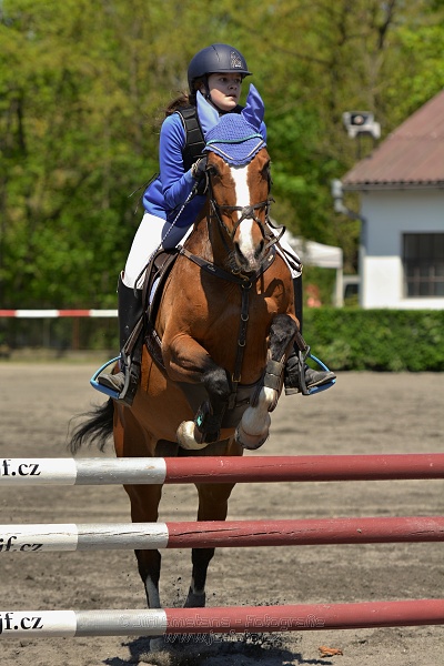Skoková soutěž stupně 
