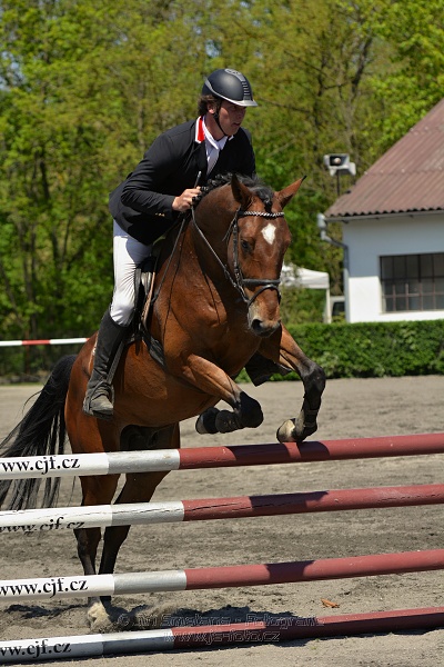 Skoková soutěž stupně 