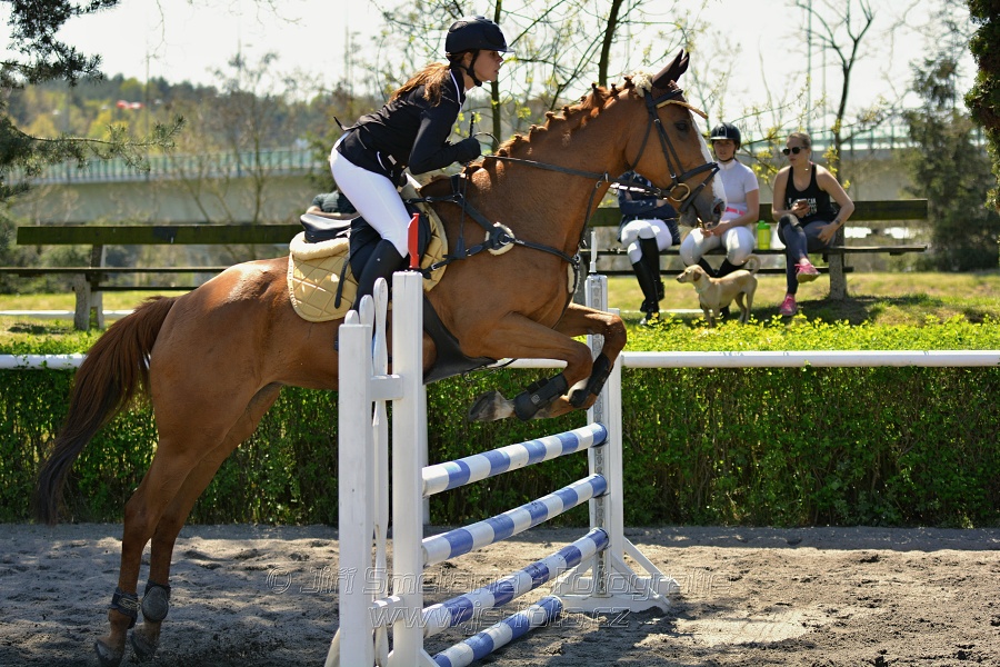 Skoková soutěž stupně 