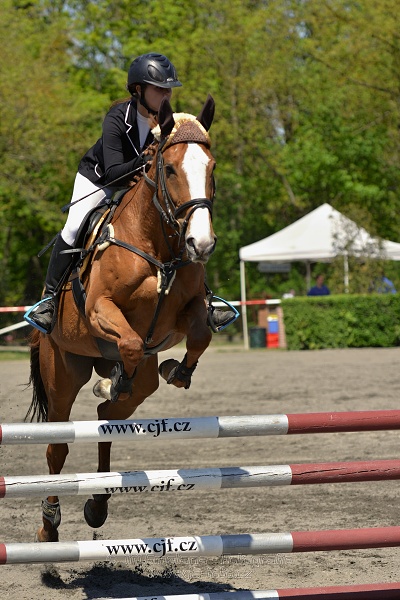 Skoková soutěž stupně 