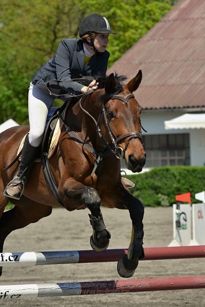 Skoková soutěž stupně 