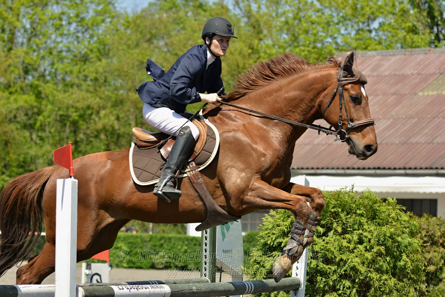 Skoková soutěž stupně 