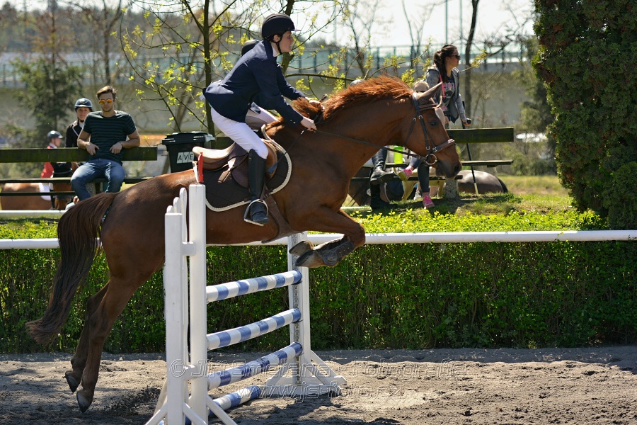 Skoková soutěž stupně 