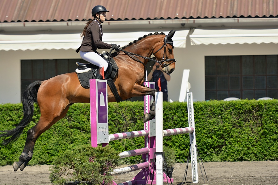 Skoková soutěž stupně 