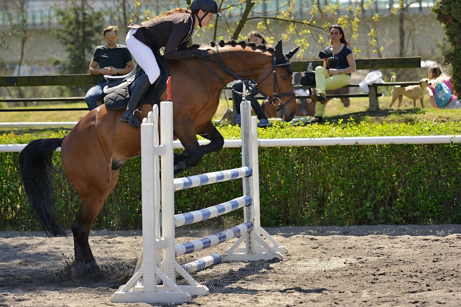 Skoková soutěž stupně 