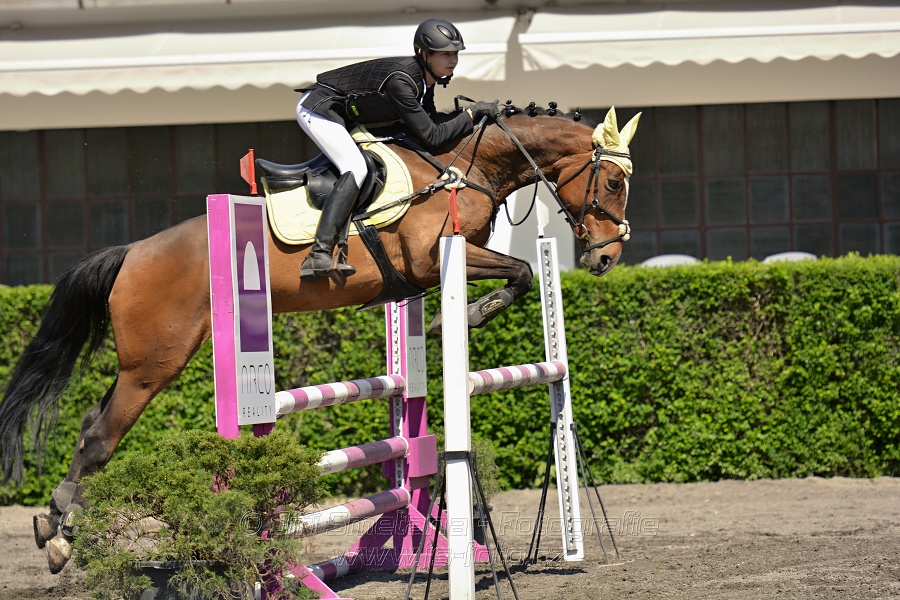 Skoková soutěž stupně 