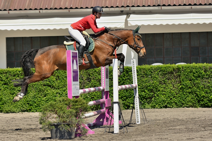 Skoková soutěž stupně 