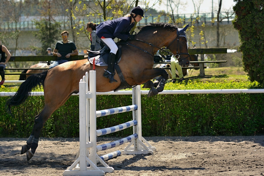 Skoková soutěž stupně 