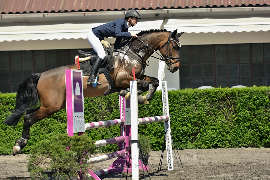 Skoková soutěž stupně 