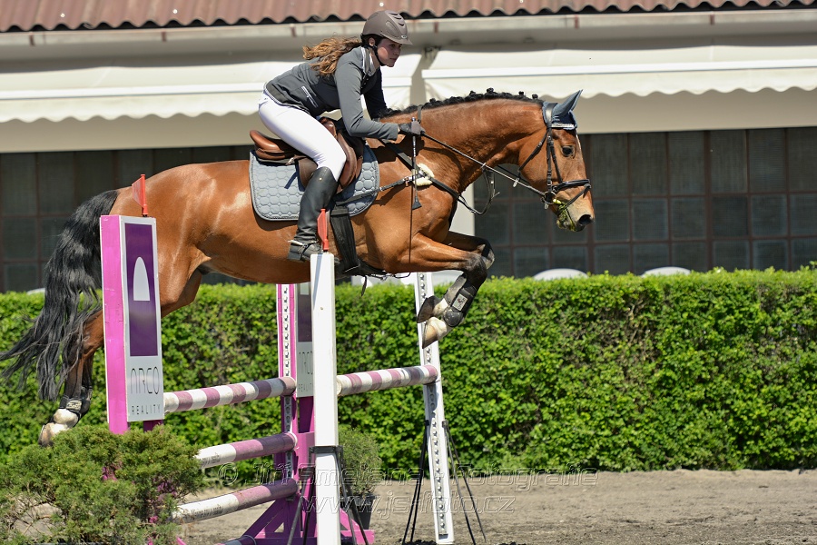 Skoková soutěž stupně 