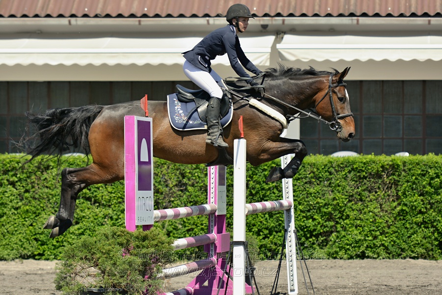 Skoková soutěž stupně 