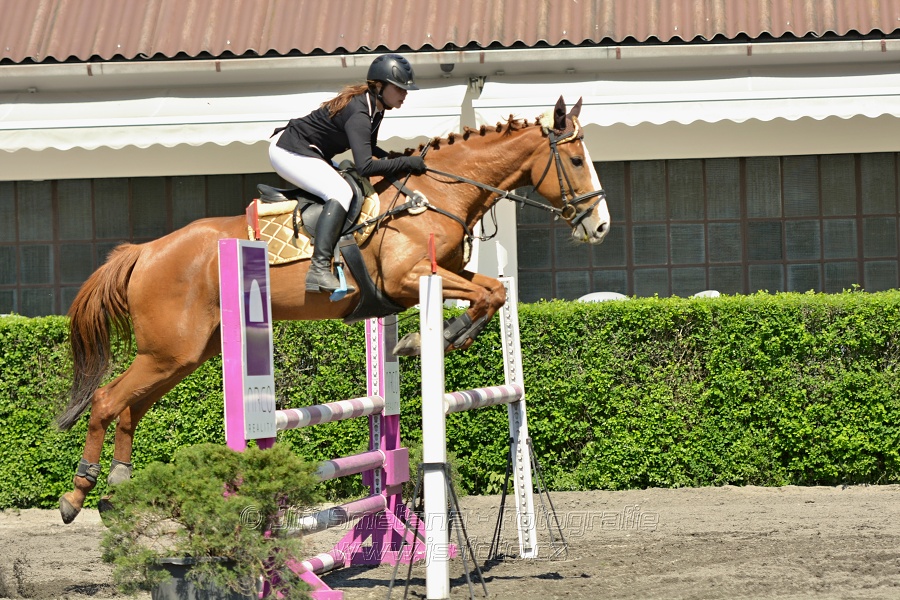 Skoková soutěž stupně 