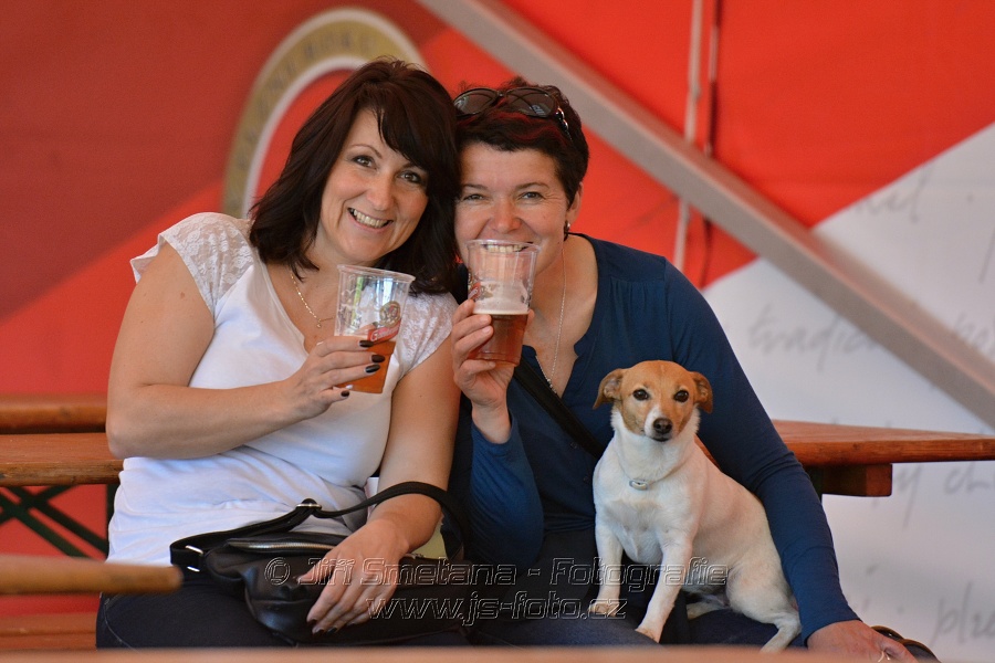 Skoková soutěž st. „ZM“ 