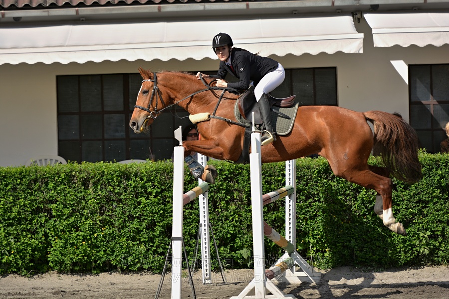 Skoková soutěž stupně 