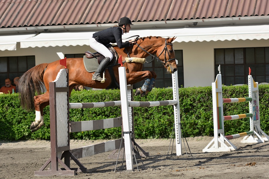 Skoková soutěž stupně 