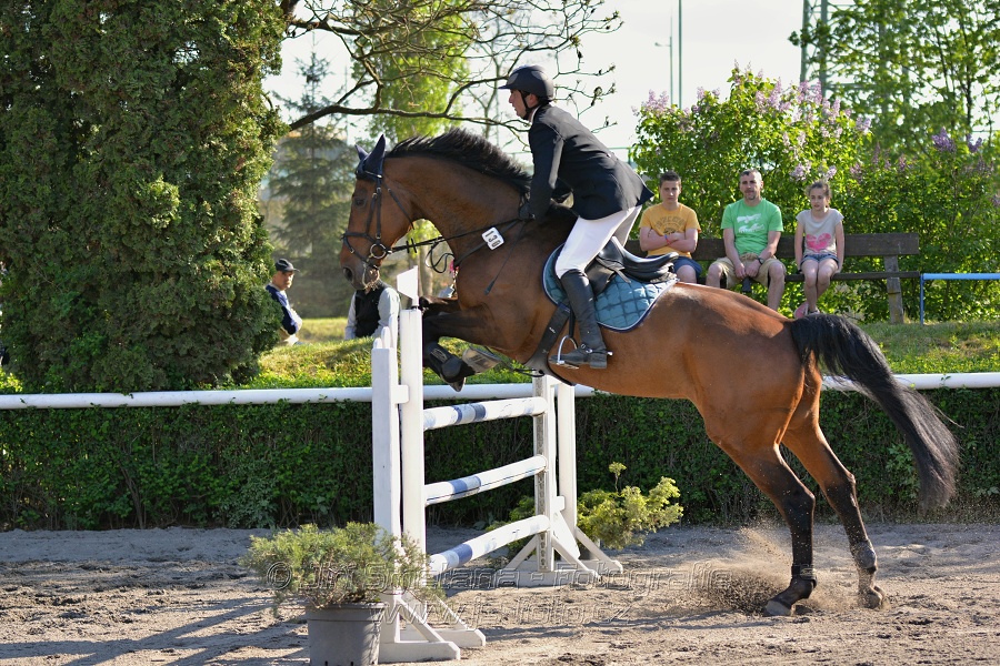 Skoková soutěž stupně 