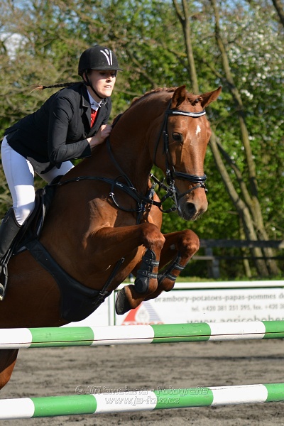 Skoková soutěž stupně 