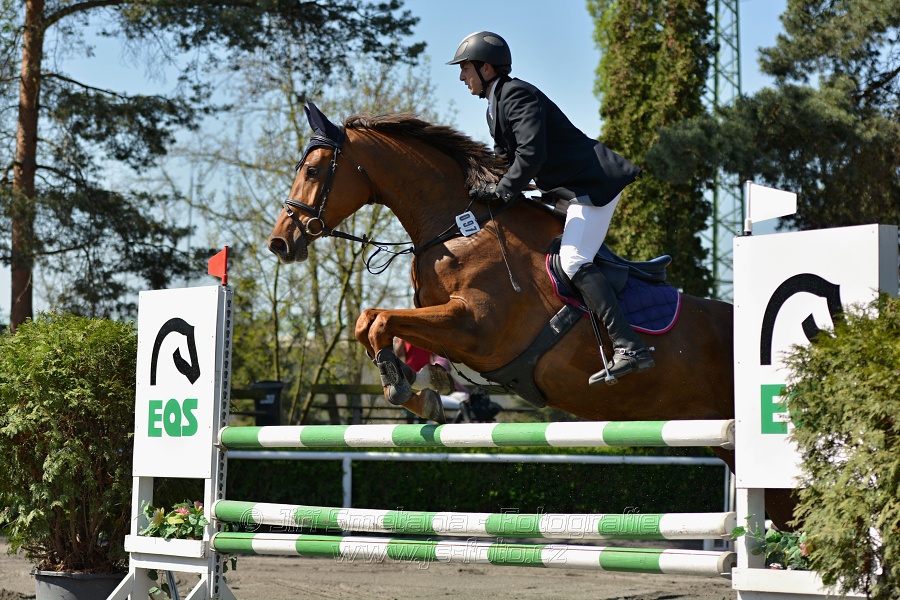 Skoková soutěž stupně 