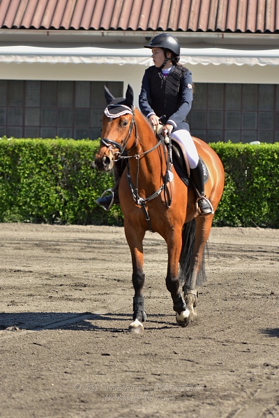 Skoková soutěž stupně 