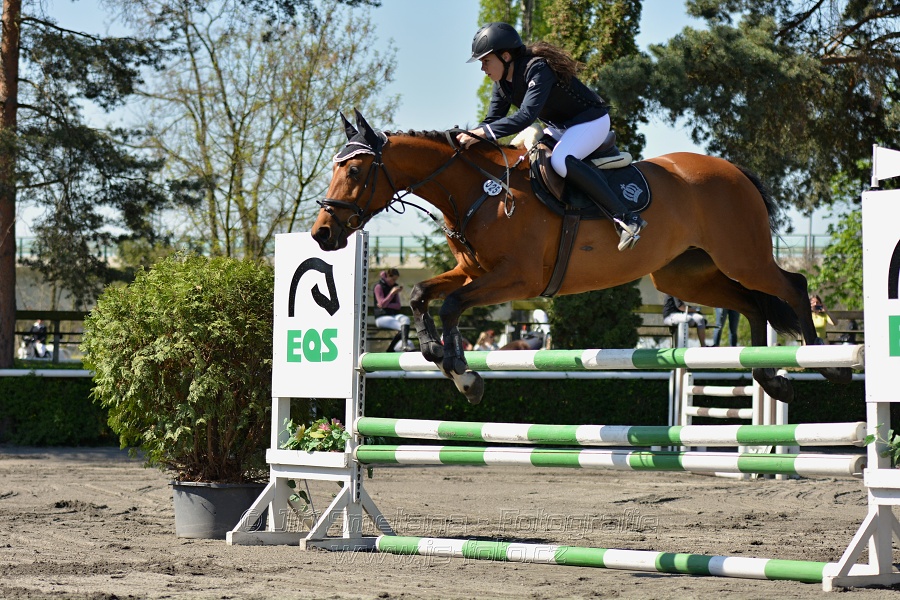 Skoková soutěž stupně 