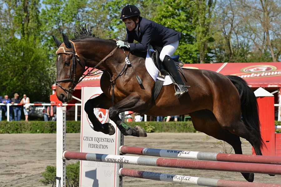 Skoková soutěž stupně 