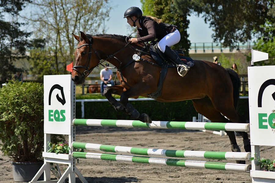 Skoková soutěž stupně 