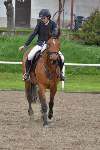Skoková soutěž st. Z, na limitovaný čas