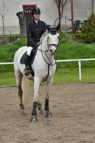 Skoková soutěž st. Z, na limitovaný čas