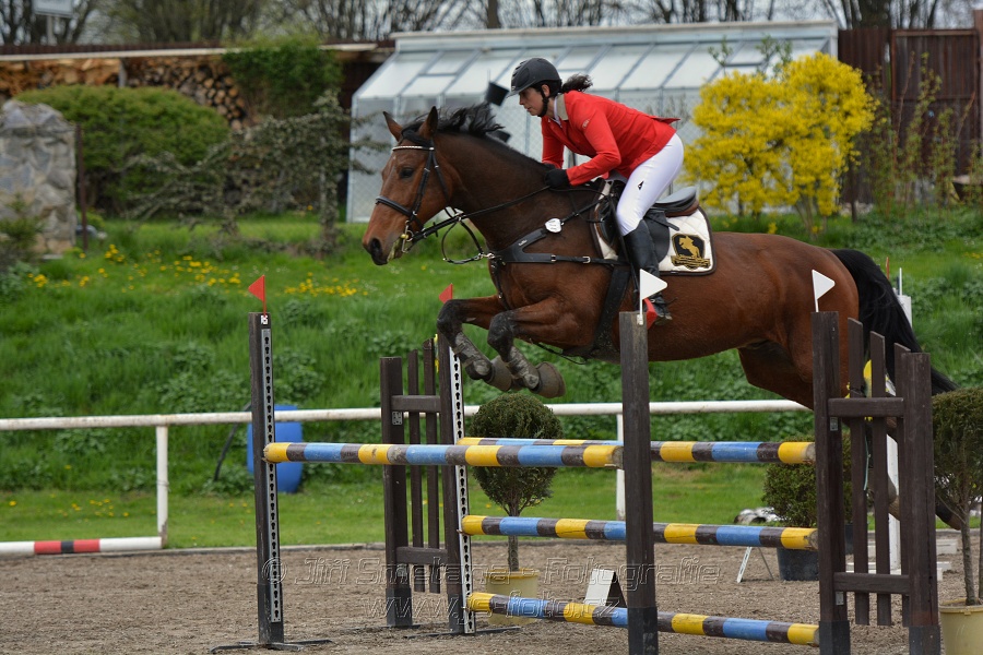 Skoková soutěž st. ZL, bez rozeskakování