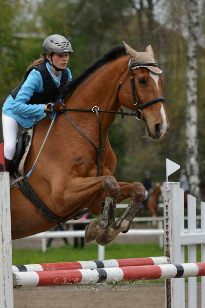 Skoková soutěž st. ZL, bez rozeskakování