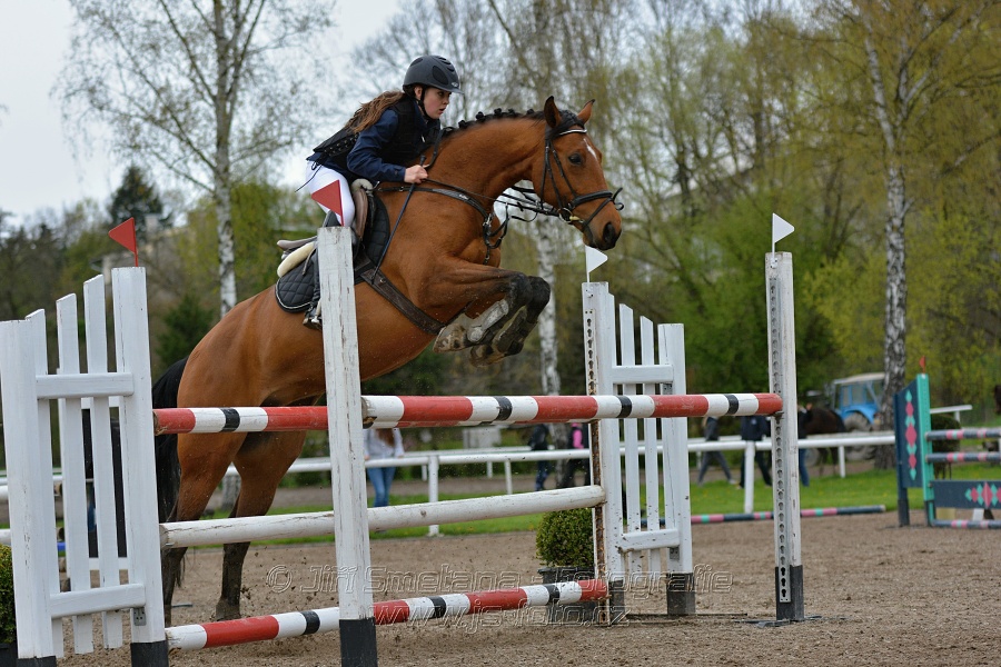 Skoková soutěž st. ZL, bez rozeskakování