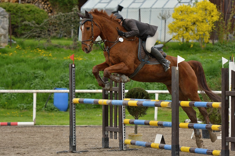Skoková soutěž st. ZL, bez rozeskakování