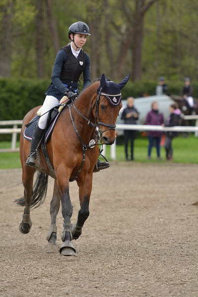 Skoková soutěž st. ZL, bez rozeskakování