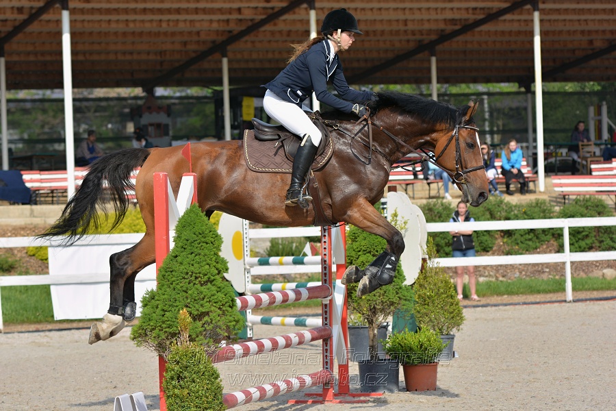 Skoková soutěž stupně „Z“ na limitovaný čas