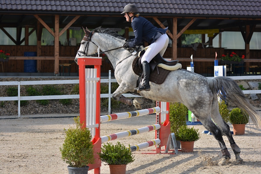 Skoková soutěž stupně „Z“ na limitovaný čas