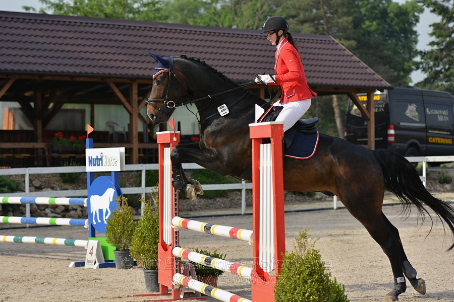 Skoková soutěž stupně „Z“ na limitovaný čas