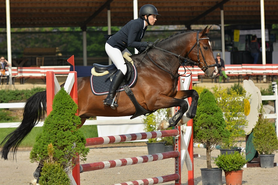 Skoková soutěž stupně „Z“ na limitovaný čas