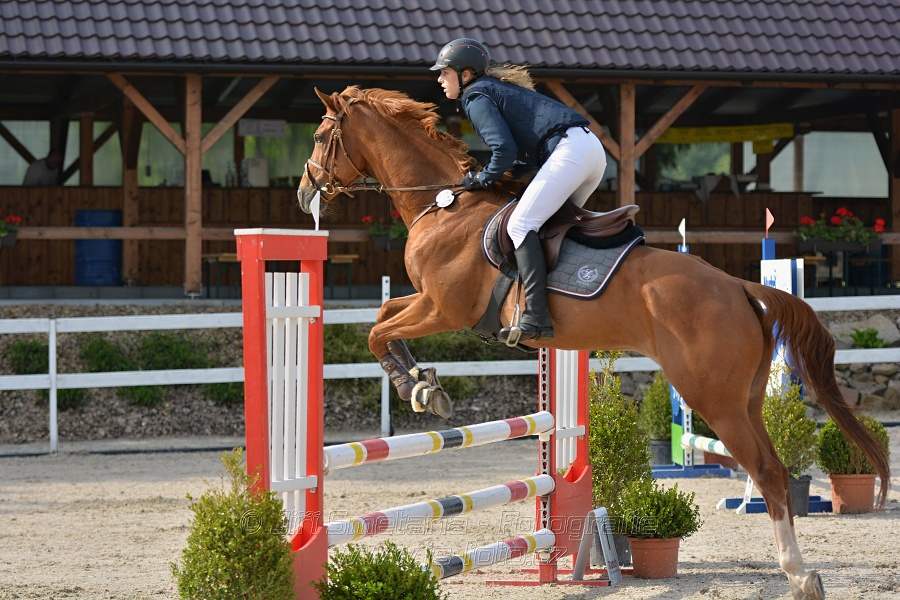 Skoková soutěž stupně „Z“ na limitovaný čas