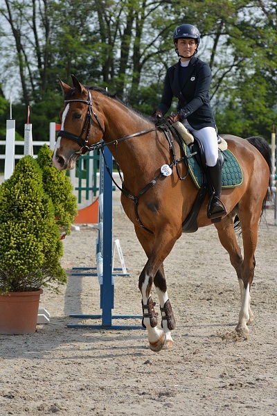 Skoková soutěž stupně „Z“ na limitovaný čas