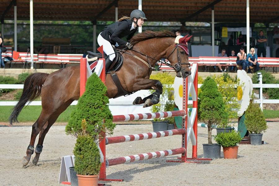 Skoková soutěž stupně „Z“ na limitovaný čas