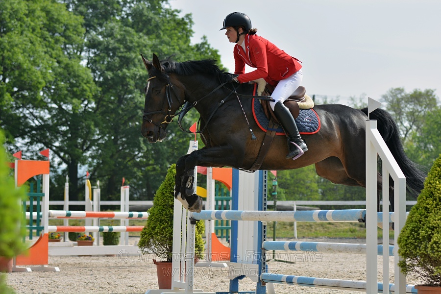 Skoková soutěž stupně „Z“ na limitovaný čas